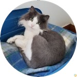 Avatar de Sô Eau