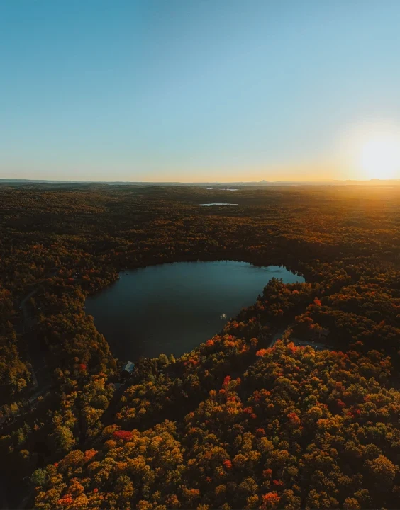 Lac entouré de forêt colorée au coucher du soleil