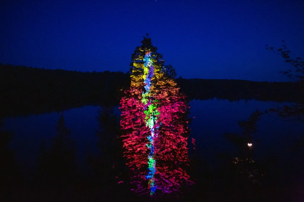 Arbre illuminé multicolore reflété sur un lac