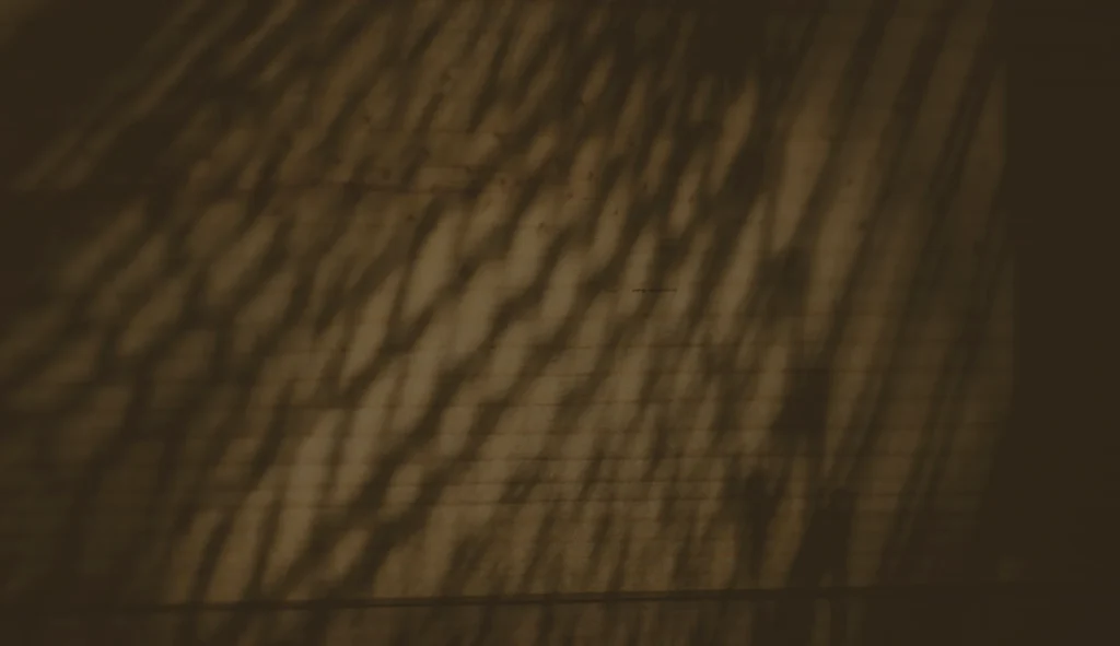 Ombres d’arbres projetées sur un mur brun