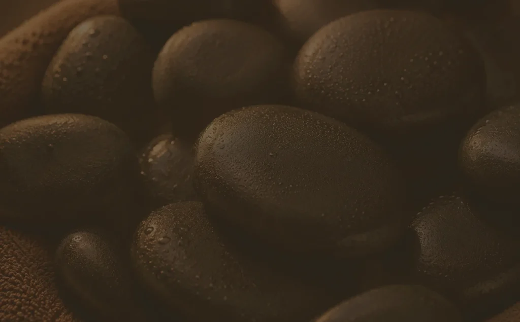 Gros plan d’avocats frais avec gouttelettes d’eau