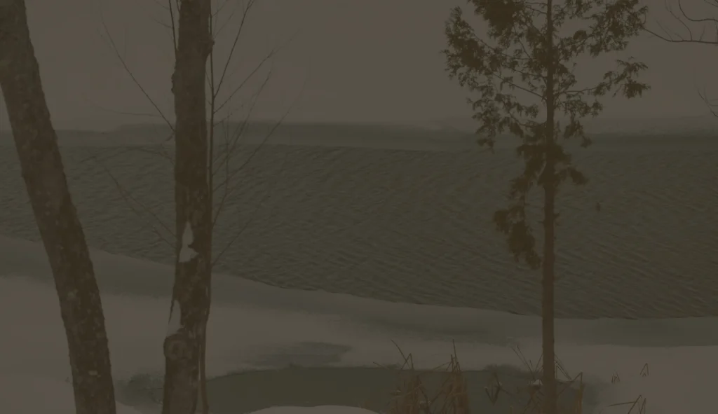 Lac enneigé et arbres en hiver brumeux